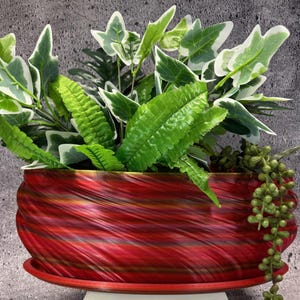 ユニークなプランター - あらゆる種類の植物用のオーバル窓辺プランター（トレイ付き）（マルチカラー） - 長さ14インチ x 幅6インチ x 高さ5インチ。USAストア