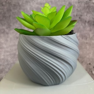 Peut inclure: Un pot en céramique gris à motif de tourbillon avec une plante succulente verte à l'intérieur.