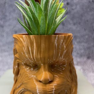 May include: A brown, 3D-printed planter shaped like a character's face, holding a faux succulent plant. The planter has detailed facial features and a textured surface. The plant has green and white leaves, with brown and yellow accents.