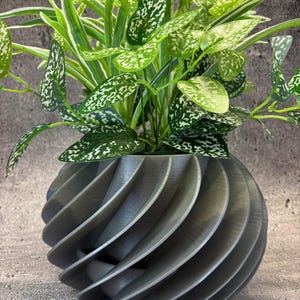 May include: A dark gray, 3D printed planter with a swirling design. The planter is filled with a green plant with white speckles on the leaves.
