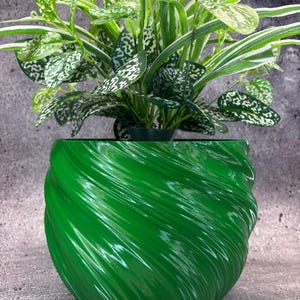 May include: A vibrant green, glossy, spiral-textured planter pot holding a lush plant with green and white speckled leaves. The pot's design features a swirling pattern, creating a dynamic visual effect. The plant's leaves have a speckled pattern.