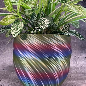 May include: A decorative plant pot with a spiral design in shades of green, blue, red, and gold. The pot contains a houseplant with green leaves speckled with white. The pot is approximately 6 inches tall.