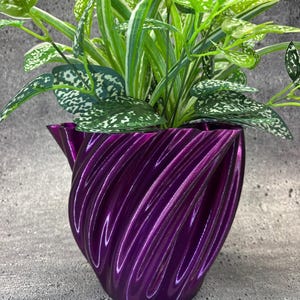 May include: A purple, 3D printed planter with a swirling design. A green plant with white markings is growing in the planter.