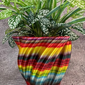 May include: A colorful, striped, 3D printed planter with a green plant with white speckles inside. The planter is a swirl design with red, yellow, orange, blue, and green stripes.