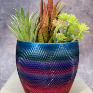Könnte beinhalten: Ein kleiner, bunter, gestreifter Topf mit verschiedenen grünen und braunen Sukkulenten. Der Topf ist aus 3D-gedrucktem Material gefertigt und hat ein blaues, violettes und rotes Farbschema.