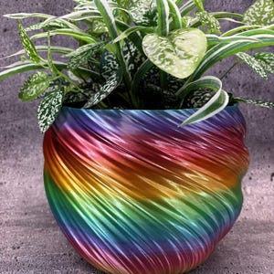 May include: A colourful planter pot with a swirling rainbow design, containing a green plant with white-spotted leaves. The pot's colours blend from red to purple, green, and yellow. The pot is suitable for indoor or outdoor use.