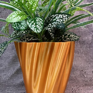 May include: A gold-colored, wavy, ceramic planter with a green and white leafy plant inside.