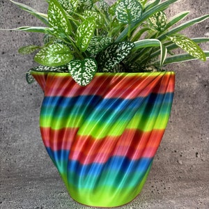 May include: A colorful, striped, swirl-shaped planter with a green, white, and speckled plant inside.