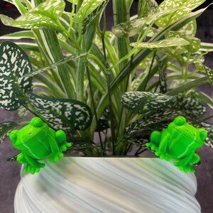 May include: A vibrant green frog figurine perches on the edge of a white, swirled planter. The planter holds a lush, green plant with speckled leaves. The frog is a bright, eye-catching accent.