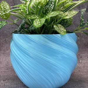 May include: A light blue swirl planter with a green plant with white variegation.