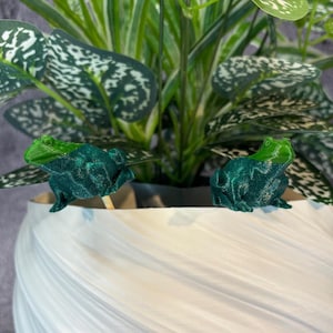 May include: Two small, green frog figurines with textured surfaces are placed in a white, swirled planter. The frogs have a lighter green color on their heads. The planter holds a green plant with white-speckled leaves.