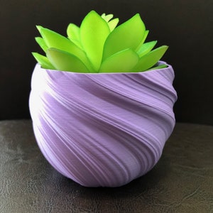 May include: A purple swirl planter with a green succulent plant inside.