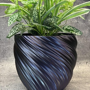 May include: A dark purple and black planter with a swirling, ribbed texture containing a green and white variegated plant. The planter has a rounded, bulbous shape with a metallic sheen that catches the light across its diagonal ridges.