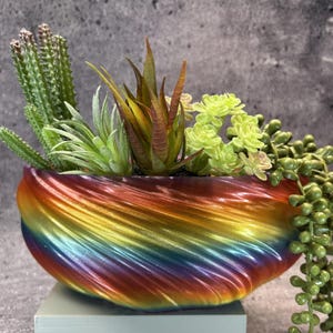 May include: A rainbow-coloured, spiralled, bowl-shaped planter containing an assortment of artificial succulents, including a tall green cactus, a spiky light green plant, a central reddish-brown succulent, and a trailing string of green beads.