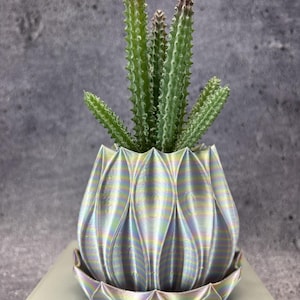 Op de afbeelding: Een groene, stekelige vetplant in een 3D-geprinte plantenpot met een verticaal, bloembladachtig geometrisch patroon. De pot heeft een parelmoerachtige, iriserende afwerking die verschuift tussen zilver, paars en groen, inclusief een bijpassende schotel.