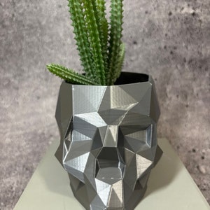 May include: A gray geometric skull planter with a succulent plant growing inside. The planter is made of a 3D printed material and has a matte finish.