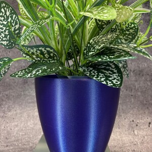 May include: A potted plant with green and white leaves in a blue ceramic pot.