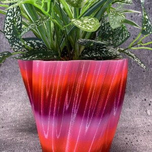 May include: A vibrant, gradient-colored planter in shades of red, pink, and orange, holding a lush green plant with speckled leaves. The planter has a unique, textured design, adding visual interest to the home decor item.