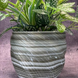 May include: A green and white striped ceramic planter with a leafy green plant inside.