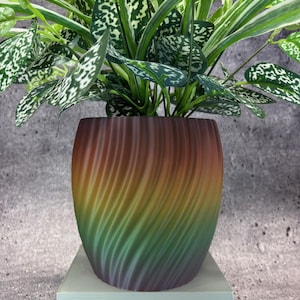 May include: A houseplant with green and white speckled leaves in a decorative pot. The pot has a spiral pattern and a gradient of colours, including brown, yellow, green, and purple. The pot sits on a white, rectangular base.