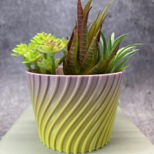 May include: A small, decorative planter with a spiral design, transitioning from a pale pink to a yellow-green hue. The planter holds a variety of artificial succulents in shades of green and brown, creating a vibrant display. The pot is sitting on a white surface.