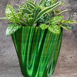 May include: A green, wavy, ceramic planter with a leafy green plant with white speckles.