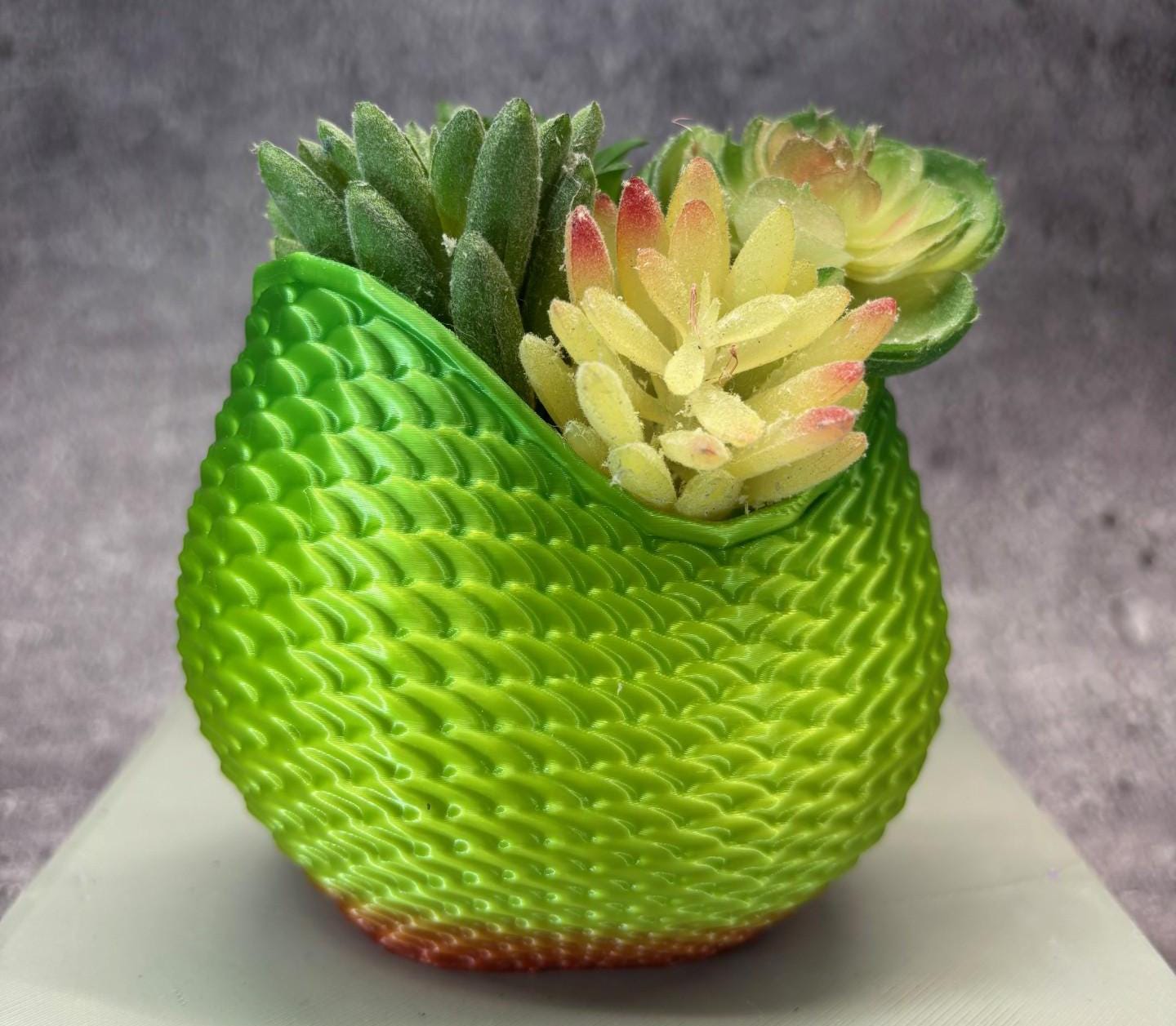 korbmarante maui queen Calathea Maui Queen - Toronto House Plant Delivery