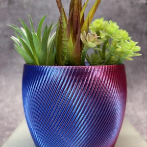 Puede incluir: Una maceta pequeña, azul y morada con un patrón de espiral. La maceta está llena de suculentas artificiales.