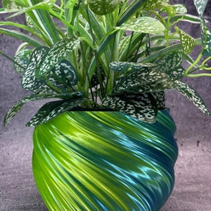 Large Twisted Flowerpot for Plants of all kinds (Dual Blue and Yellow color) - 8" Diameter by 6" Tall Colorful Planter Modern Planter