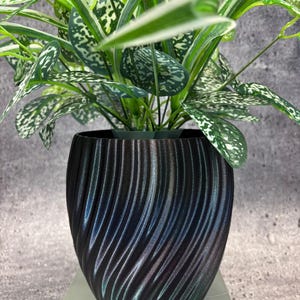 May include: A black, textured, spiral-patterned plant pot holding a green and white spotted plant. The pot has a glossy finish and sits on a white surface. The plant has large, oval-shaped leaves.