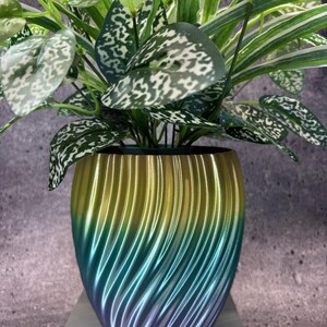 May include: A decorative plant in a gradient-coloured pot. The pot transitions from yellow to blue, with a textured, ridged design. The plant has green and white speckled leaves and long, green and white striped leaves.