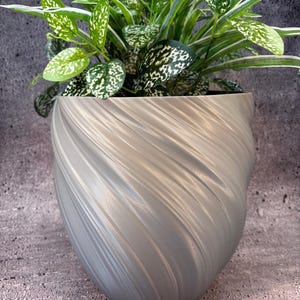 Peut inclure: Un pot en céramique gris à motif de tourbillon avec une plante verte aux feuilles tachetées de blanc.