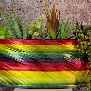 Op de afbeelding: Een kleurrijke, gestreepte plantenbak met een swirl-ontwerp. De plantenbak is gevuld met verschillende groene succulenten en planten.