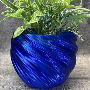 May include: A striking blue planter pot with a spiral texture, containing a thriving green plant. The pot's design showcases a swirling pattern. The plant's leaves display a mix of green and white variegation, providing a contrasting visual element.