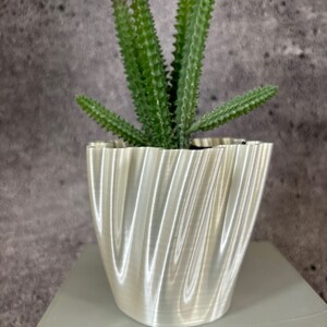 Op de afbeelding: Een witte, golvende, keramische pot met een groene succulent met rode toppen. De pot staat op een grijs oppervlak.