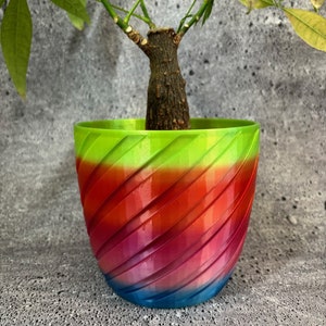 May include: A green, red, pink, and blue swirl patterned planter with a small green leafy plant growing out of it.