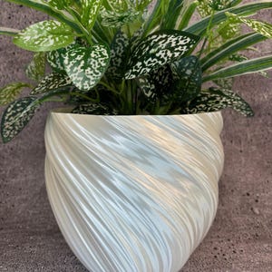 Puede incluir: Una maceta de cerámica blanca con un diseño de remolino y textura. La maceta está llena de una planta verde con motas blancas en las hojas.