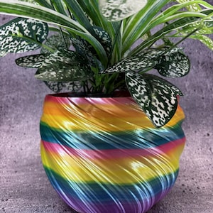 May include: A colorful, rainbow-swirled planter pot holds a houseplant with green and white speckled leaves. The pot's design features a vibrant gradient of colors, including yellow, pink, blue, and purple. The plant has long, slender leaves.