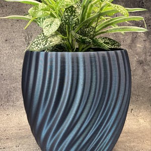 May include: A dark blue, metallic-finish plant pot with a vertical, swirling ribbed texture. The pot contains a leafy green plant with variegated foliage featuring white and light green patterns, creating a contrast with the dark, textured container.