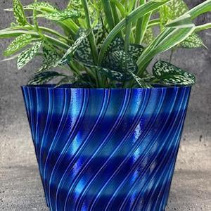 Puede incluir: Una vibrante maceta azul con un patrón en espiral, que contiene una planta verde con hojas moteadas de blanco. La maceta, con su superficie brillante y su patrón texturizado, ofrece una estética contemporánea, realzando el atractivo visual de la planta.