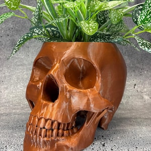 Puede incluir: Un macetero de calavera de cerámica marrón con una planta verde que crece en la parte superior.