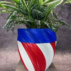 May include: A potted plant with green and white speckled leaves in a decorative planter. The planter is a vibrant mix of red, white, and blue stripes, creating a patriotic design. The pot sits on a neutral-colored surface.