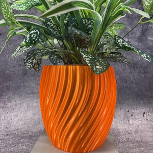 May include: An orange, spiral-textured planter pot holds a houseplant with green and white speckled leaves. The pot is a vibrant, solid orange color and sits on a light gray surface against a gray background. The plant has long, slender leaves.