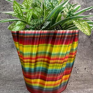 May include: A colorful, striped plant pot in shades of red, yellow, and green, holding a leafy green plant with white speckles. The pot has a wavy design and sits on a gray surface.