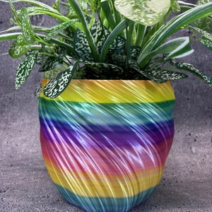 Pode incluir: Vaso de planta colorido com um design em espiral, apresentando uma planta verde exuberante com folhas salpicadas. O vaso apresenta uma transição de cores do azul ao amarelo, ideal para plantas de interior.