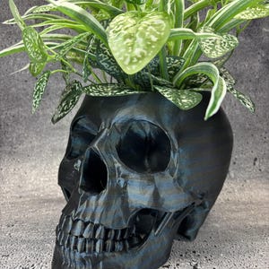 Può includere: Un vaso per piante a forma di teschio geometrico nero in stile low-poly, contenente una pianta verde con foglie variegate di bianco. Il teschio presenta un design sfaccettato e angolare con una finitura scura leggermente iridescente.