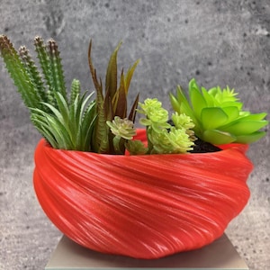 May include: A red, swirl-shaped ceramic planter with a variety of green succulents planted inside.