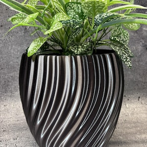 Puede incluir: Una maceta negra con un diseño texturizado y ondulado. La maceta contiene una planta verde con hojas moteadas. La maceta tiene un acabado brillante y está colocada sobre una superficie gris.