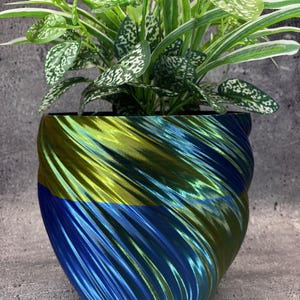 May include: A vibrant, iridescent blue and green spiral-patterned planter pot holding a green and white polka-dotted plant. The pot has a glossy finish and a unique, textured design. The plant has long, slender leaves with white edges.