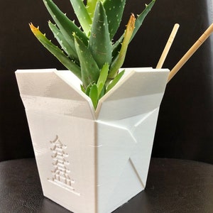 Large White Takeout Box Planter V2 for Plants of all kinds (White color) - 5" Wide by 5" Tall (Overall height and width)